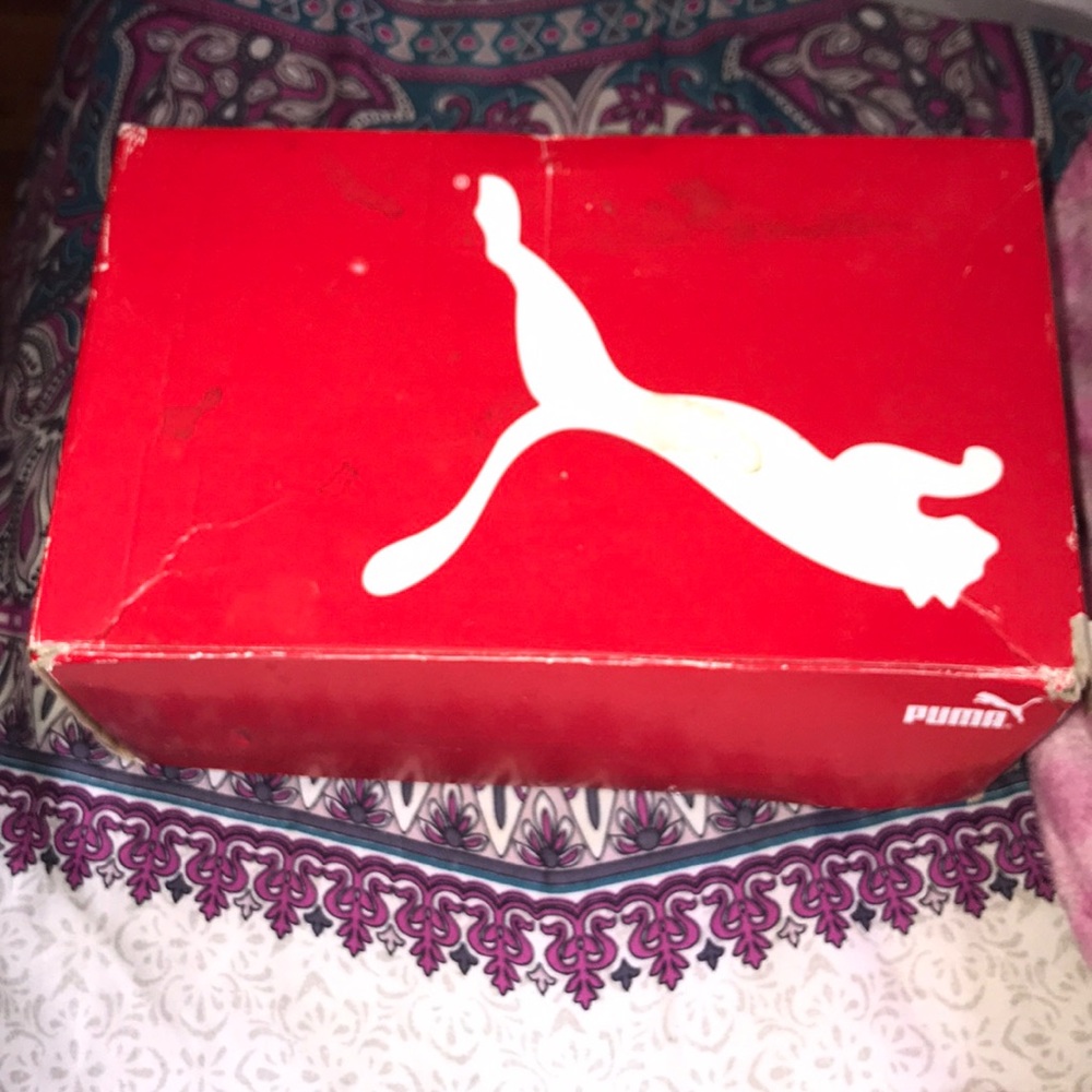 pumas